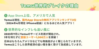 2025年5月最新】Temu「クーポンコード多すぎ問題」！一気に解説して