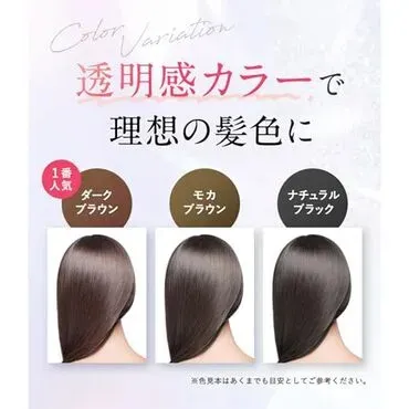 RISHIRIA Furel カラーシャンプー 240g モカブラウン2本 Amazon | RISHIRIA Furel (リシリアフレル) カラーシャンプー