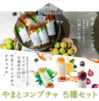 トロピカルマリアデトックコンブチャ本格発酵ドリンク2本セット