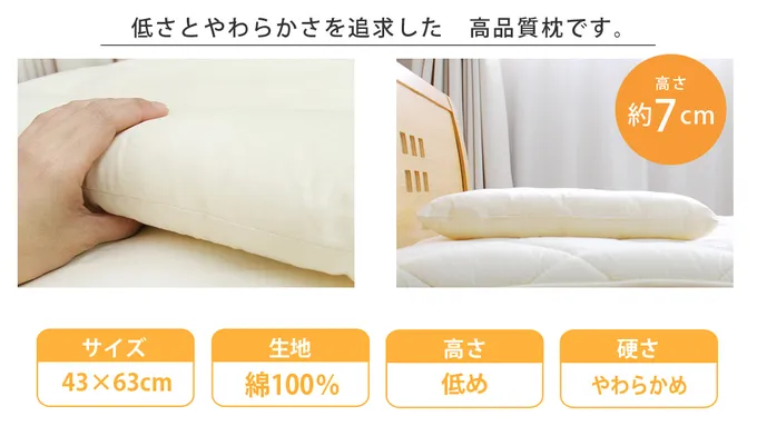 SALE！》ブレインスリープピロー（LOW）低めの枕がお好きな方に