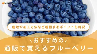通販で買えるブルーベリーのおすすめ12選!冷凍からドライタイプまで人気のアイテムをご紹介