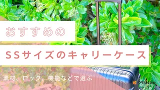 SSサイズのキャリーケースおすすめ14選！かわいいデザインも！
