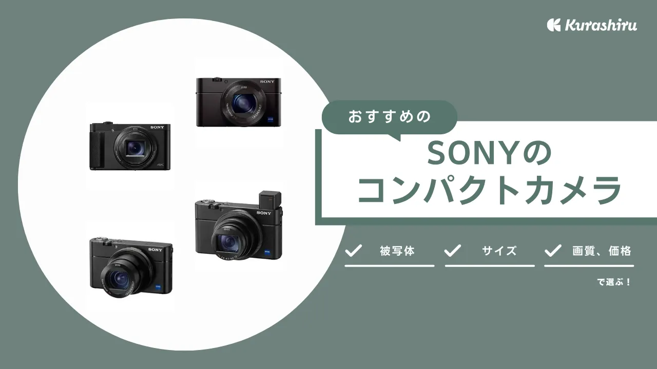 美品】SONY DSC-WX500 コンパクトデジタルカメラ SONYのコンパクト 
