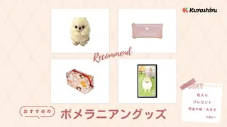 ポメラニアングッズのおすすめ20選!名前入りグッズなどプレゼント向けのアイテムも