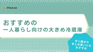 【2025年】一人暮らし向けの大きめ冷蔵庫のおすすめ8選【徹底解説】