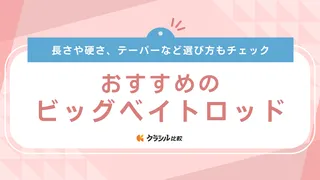 【2025年】ビッグベイトロッドのおすすめ10選【徹底解説】